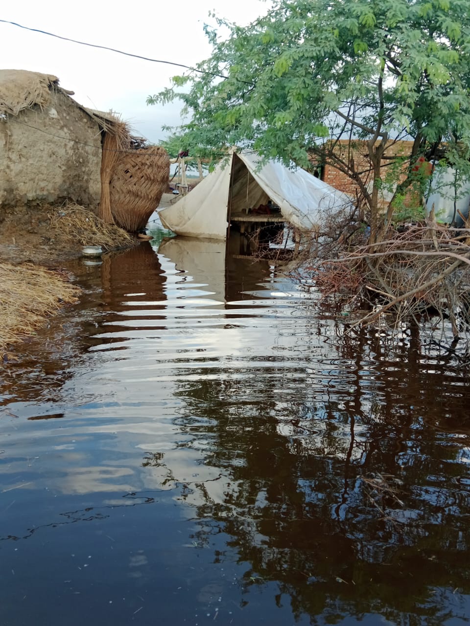 Flood Emergency Response 2022 project activity